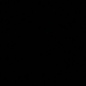 Meet your Posher, Jahcee